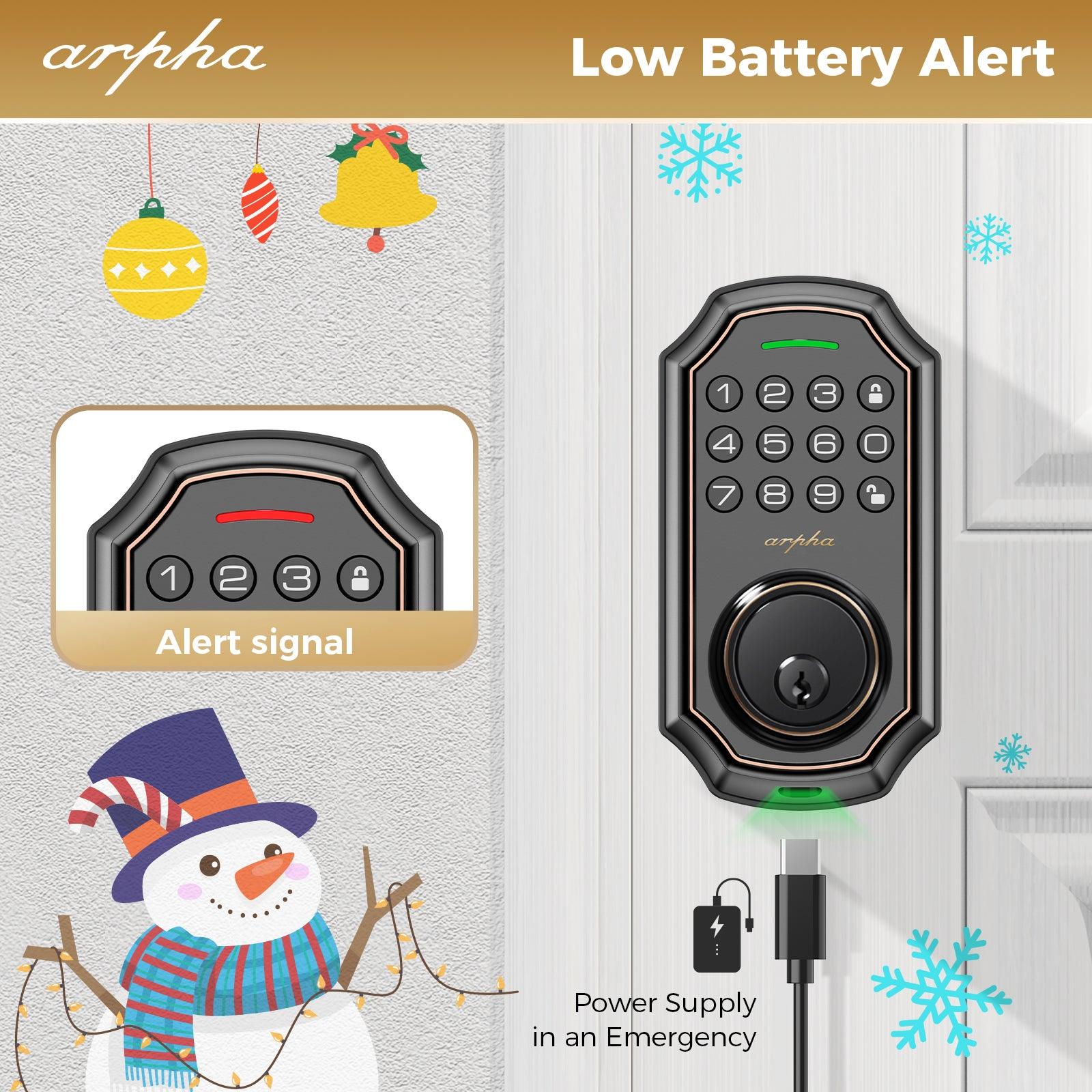 Arpha D180 Electronic Keypad Deadbolt Lock Easy to Install - AZDOME Official Stores