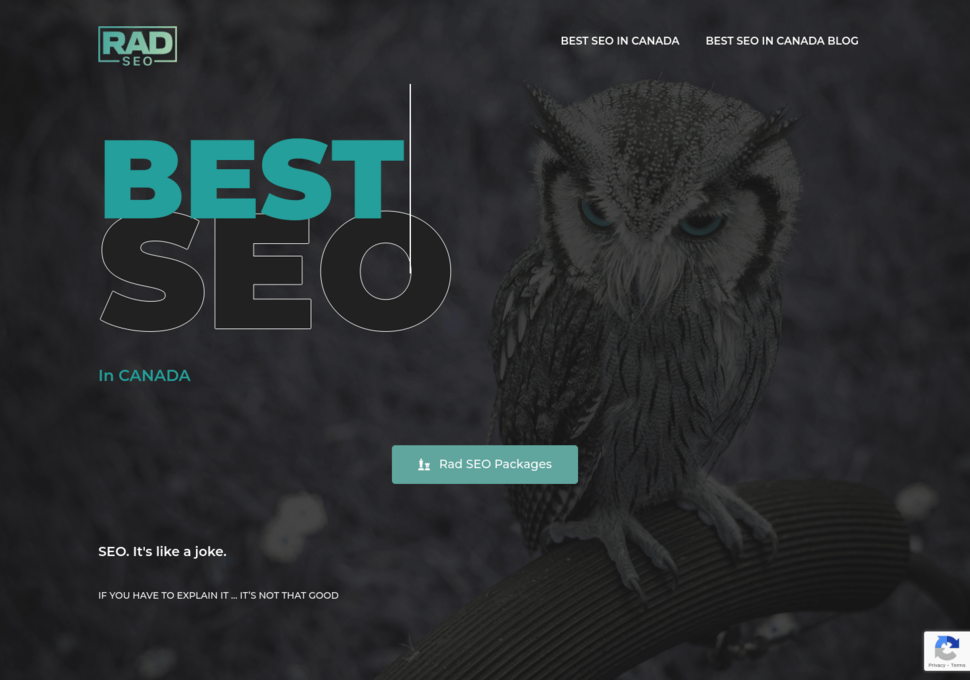 Best SEO in CANADA